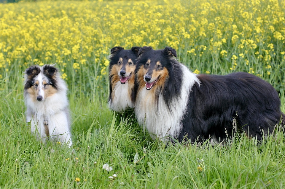 Jungs23.4.24_42832 Kopie