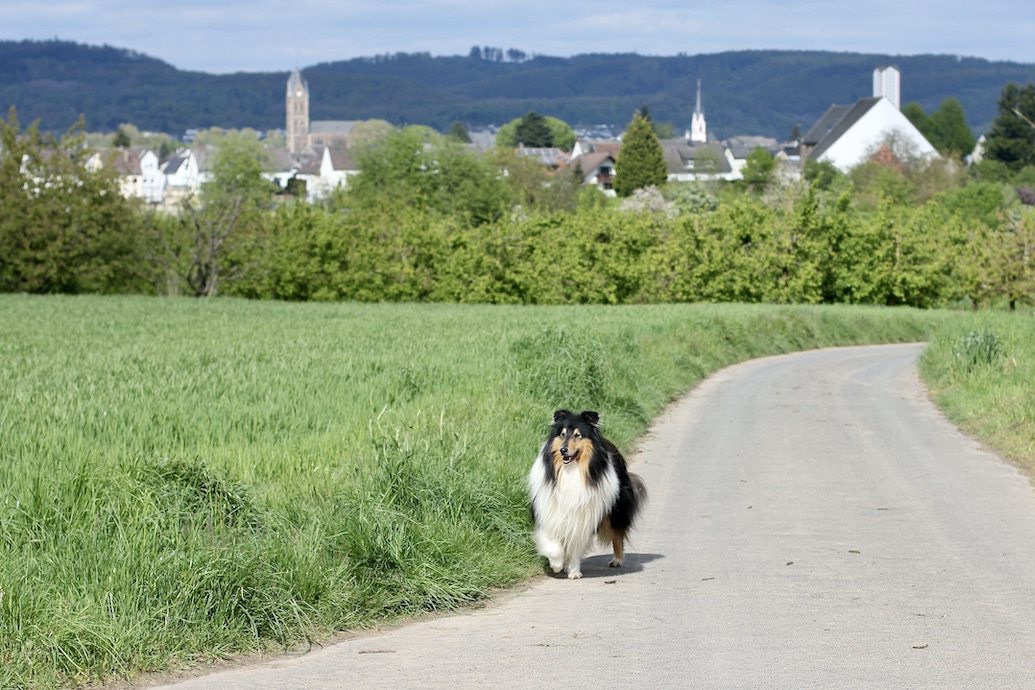 Wolle23.4.24_42854 Kopie