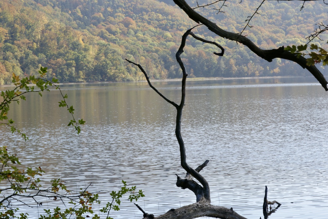 Laacher See23.10.24_1U8A4461 Kopie