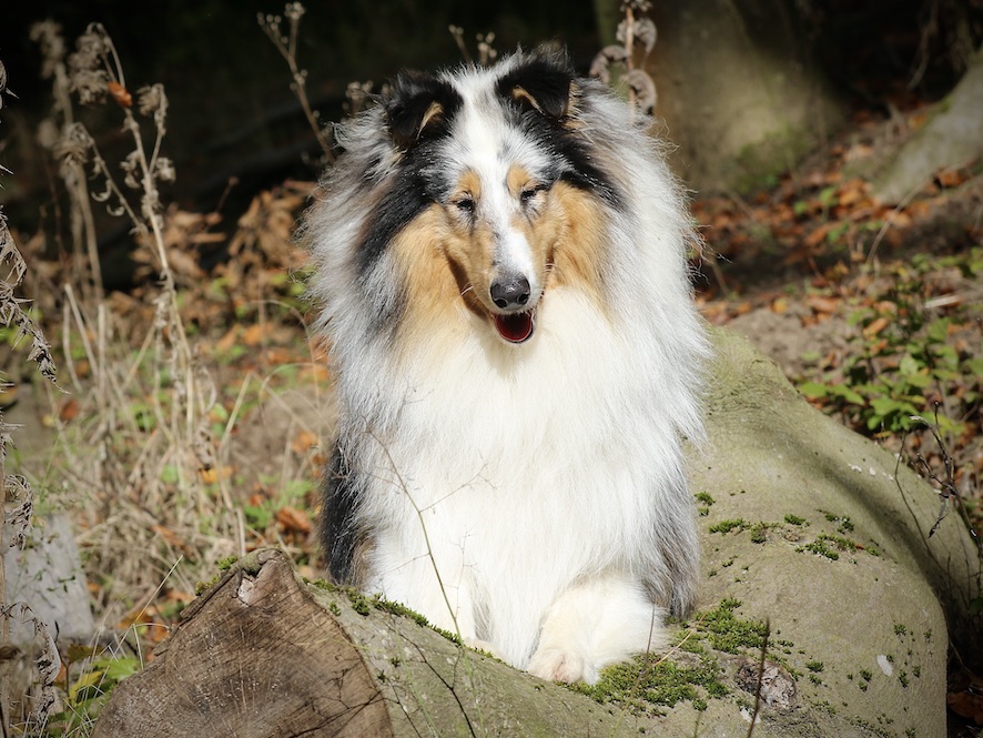 Mick23.10.24_1U8A4446 Kopie