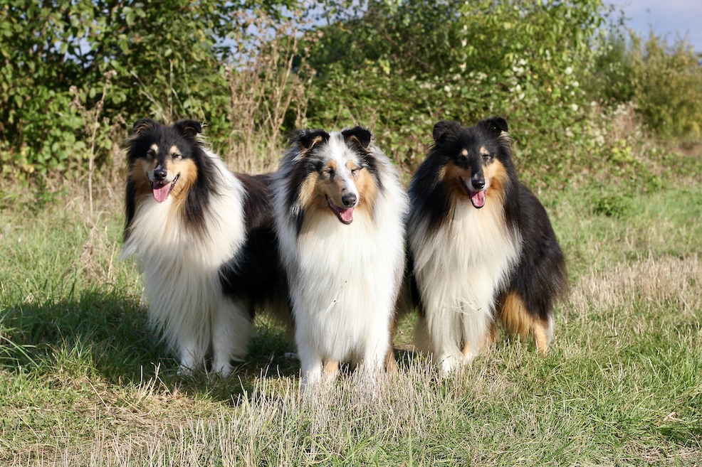 Jungs15.9.24_3785 Kopie