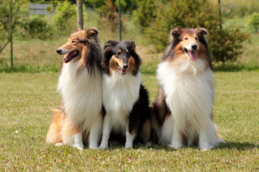 buck,ray,_calvin_22.6.19_28625_kopie
