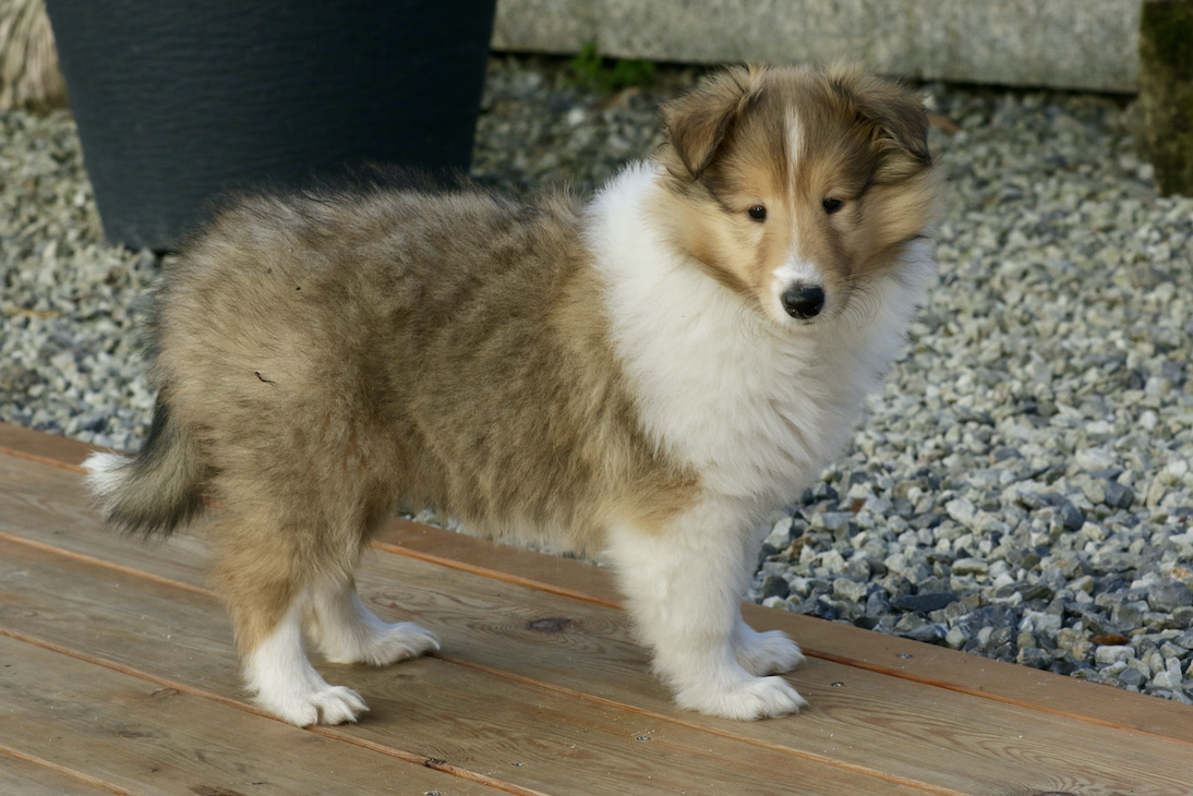 Isabeau9.10.21_1U8A8336 Kopie