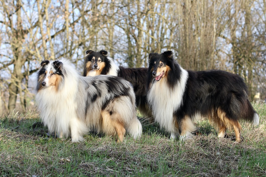 Jungs15.12.25_8159 Kopie