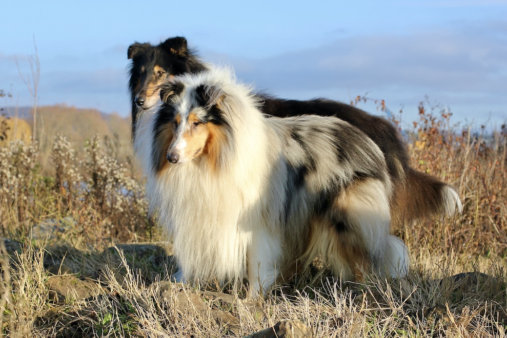 RayMick15.12.25_8116 Kopie