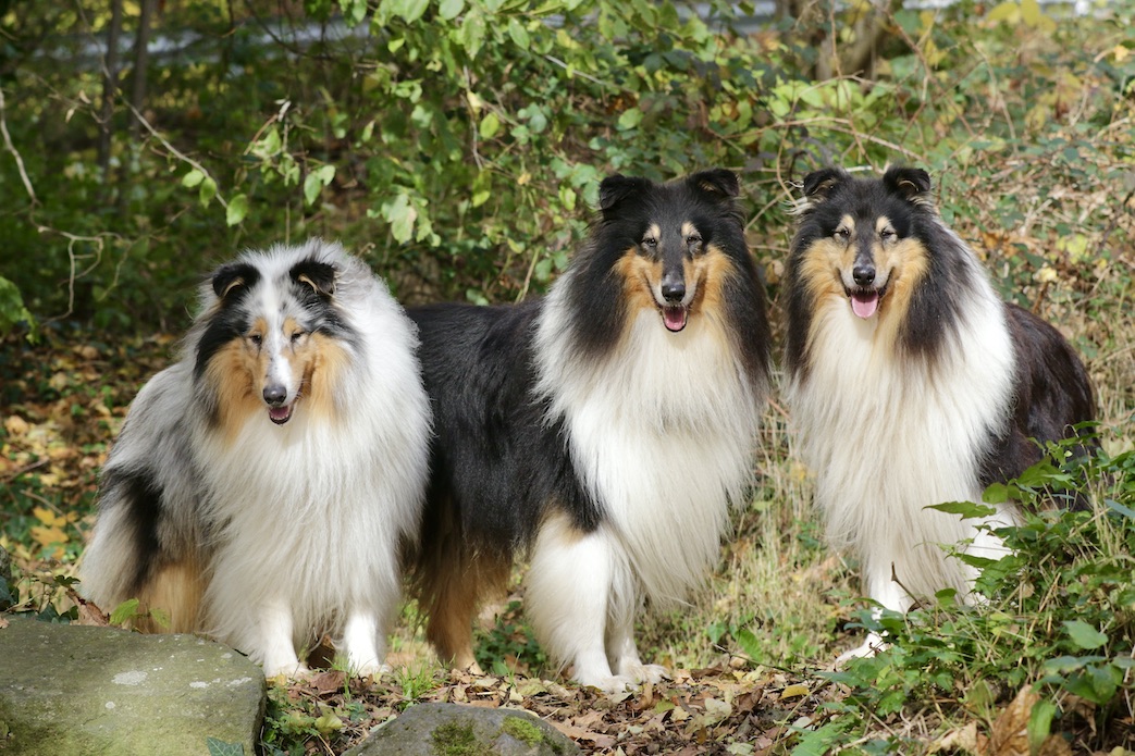 Jungs5.11.25_1U8A8871 Kopie