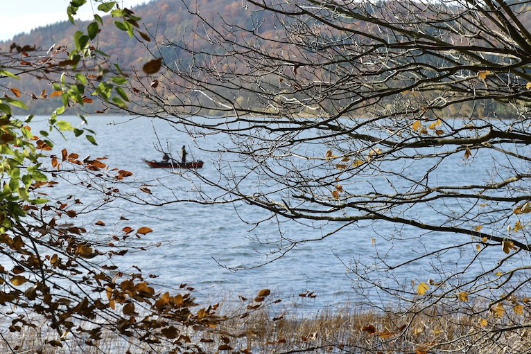 Laacher See5.11.25_1U8A8969