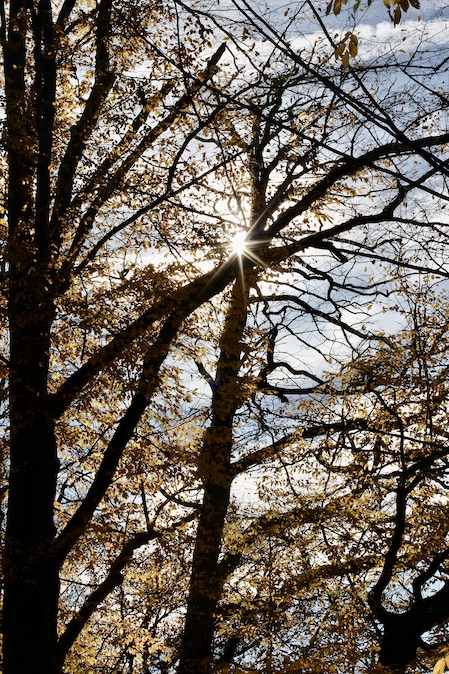 Laacher See5.11.25_8064Kopie