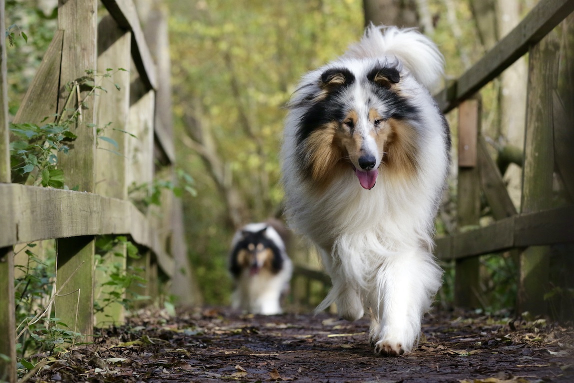 Mick5.1.25_1U8A8835 Kopie