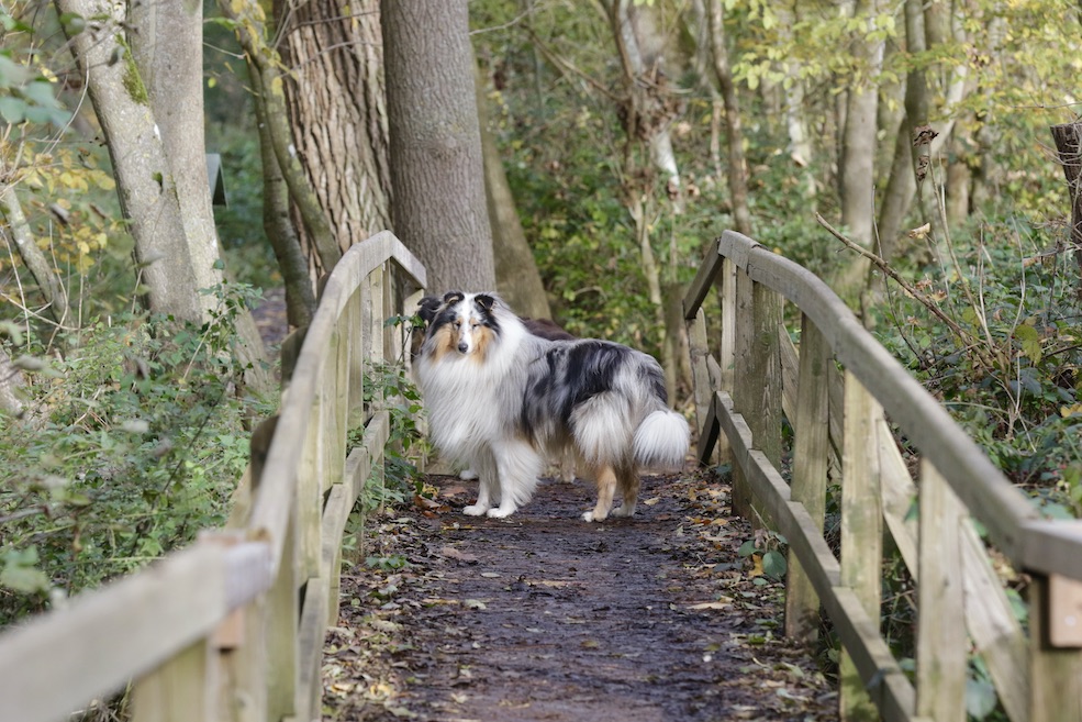 Mick5.11.25_1U8A8837 Kopie