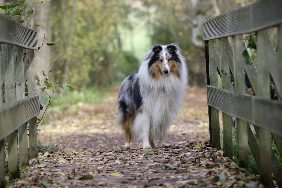 Mick5.11.25_1U8A8843 Kopie