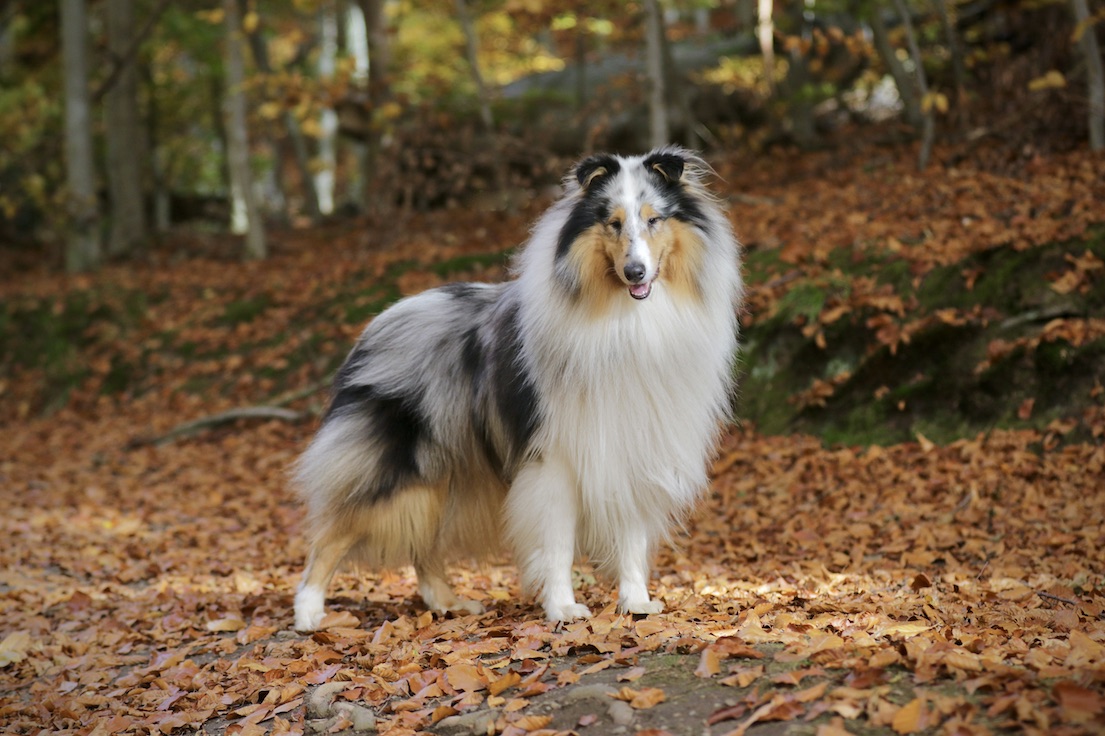 Mick5.11.25_1U8A8891 Kopie