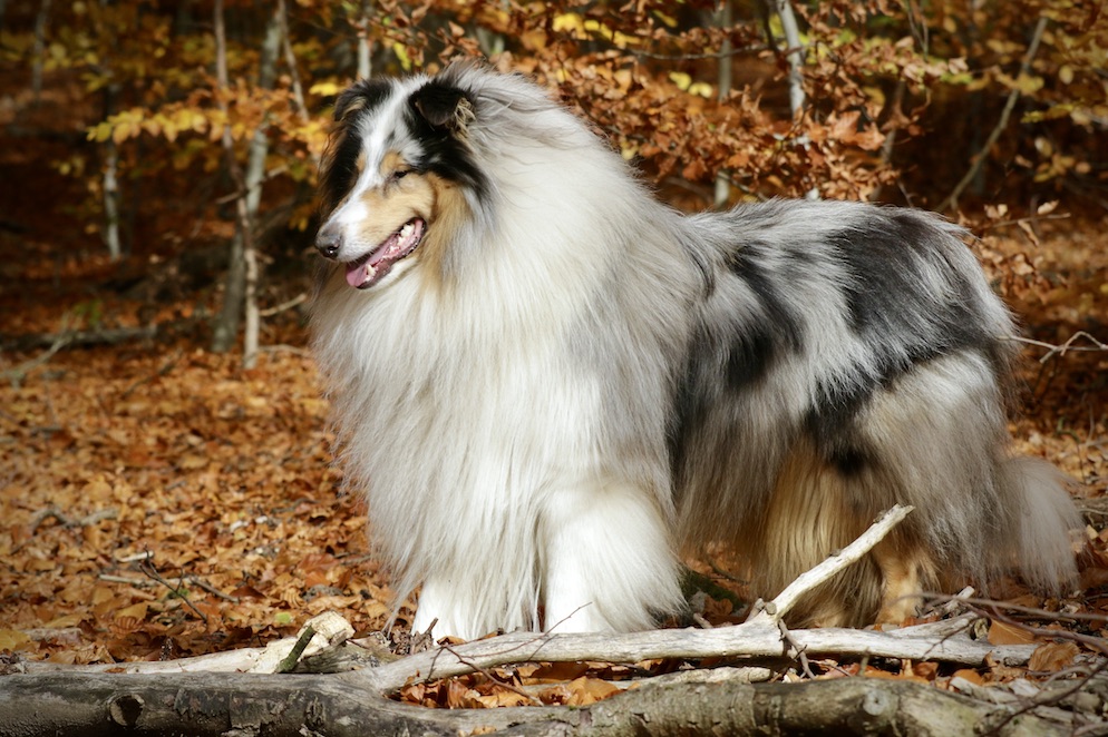 Mick5.11.25_1U8A8939 Kopie