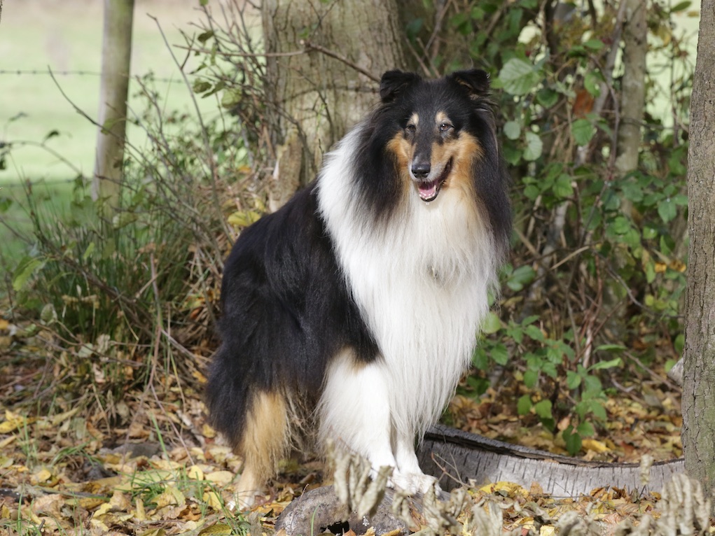 Ray5.11.25_1U8A8853 Kopie