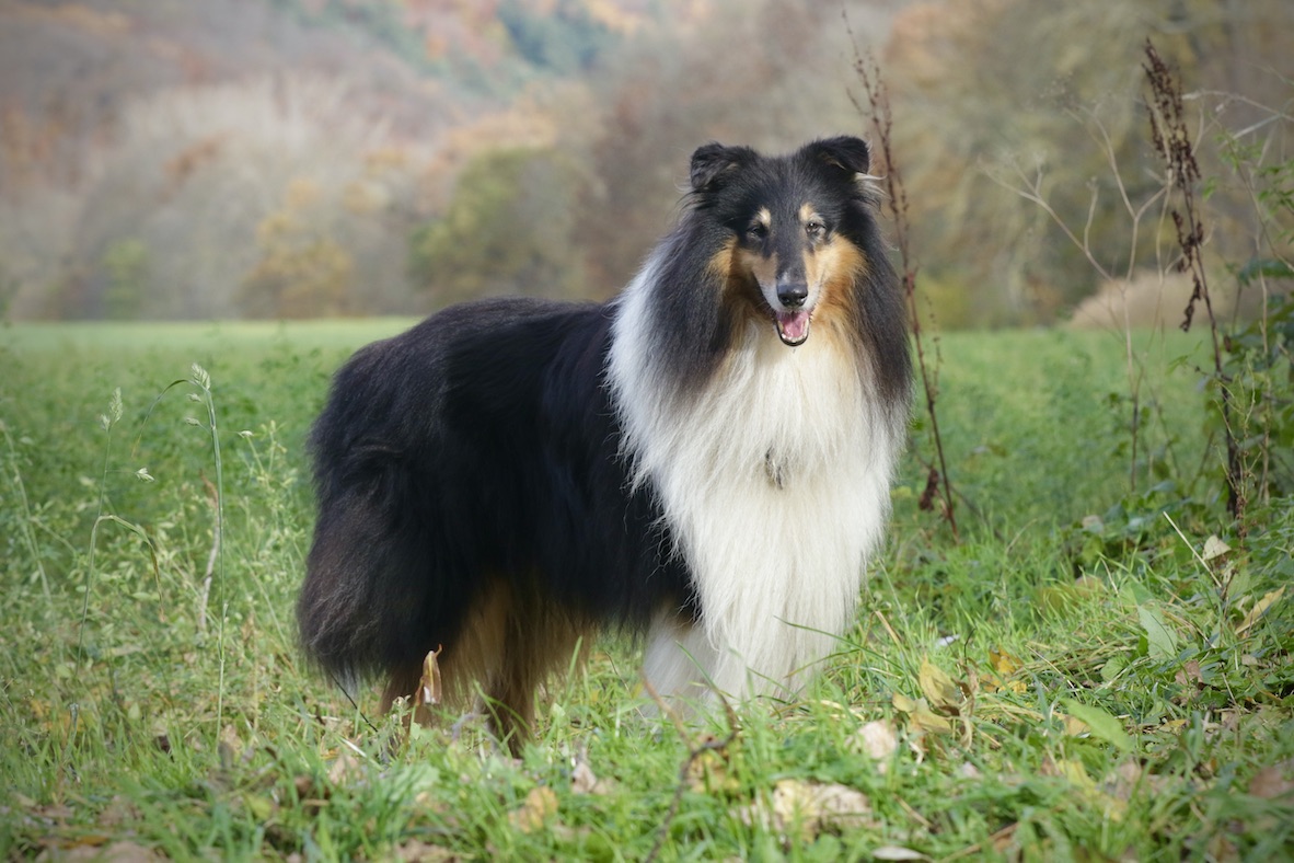 Ray5.11.25_1U8A8859 Kopie