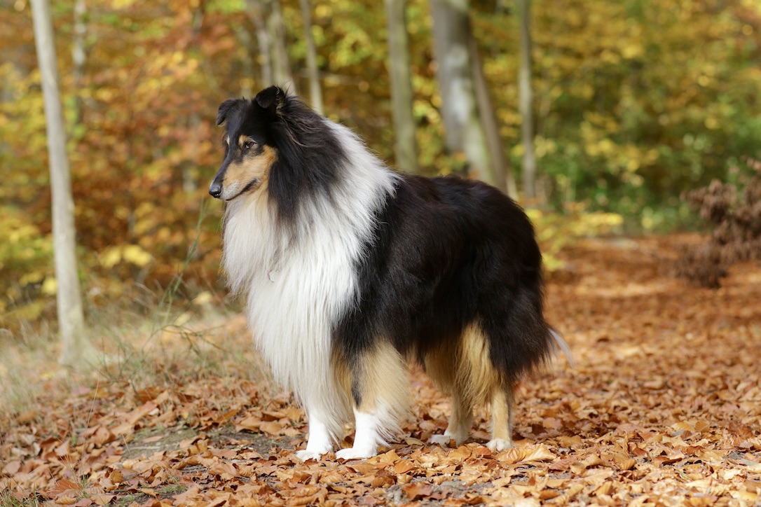 Ray5.11.25_1U8A8932 Kopie