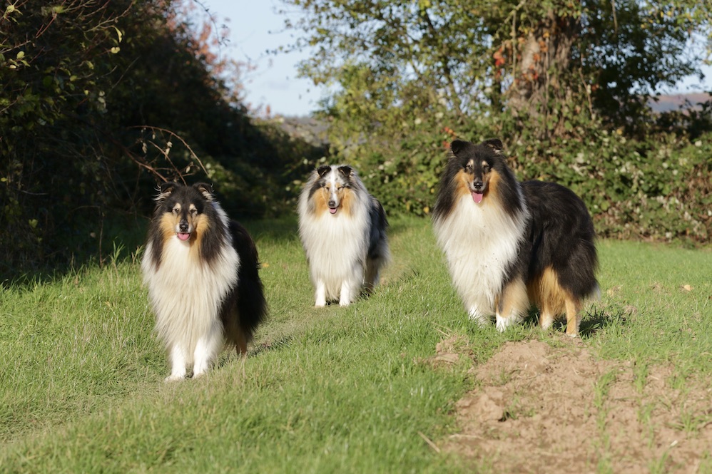 Jungs30.10.25_1U8A8757 Kopie