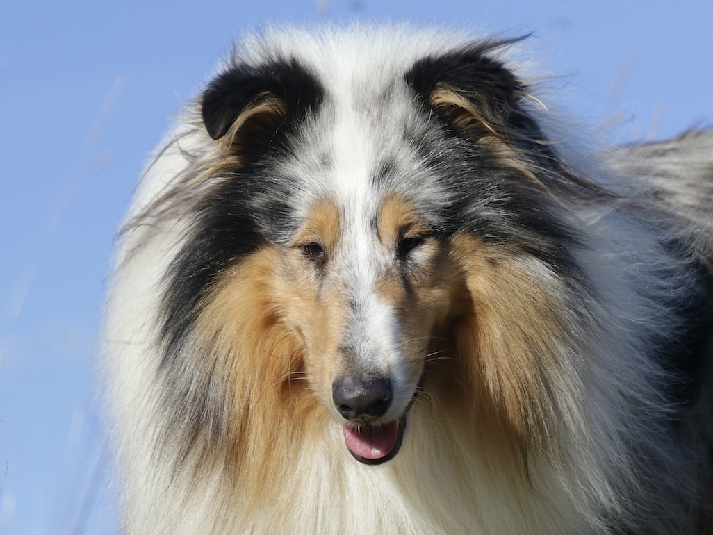 Mick30.10.25_1U8A8738 Kopie