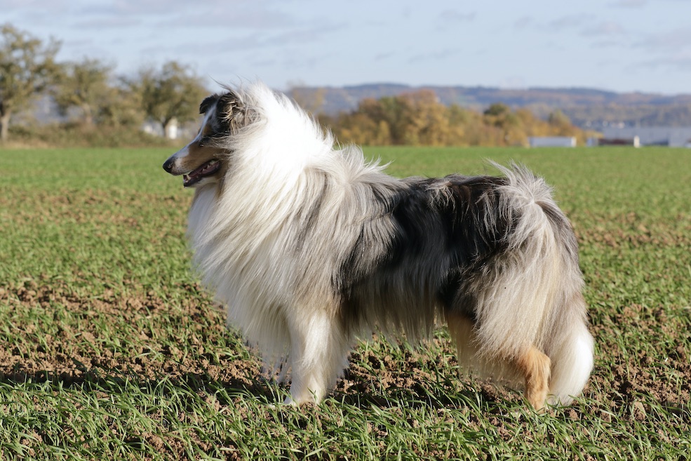 Mick30.10.25_1U8A8764 Kopie