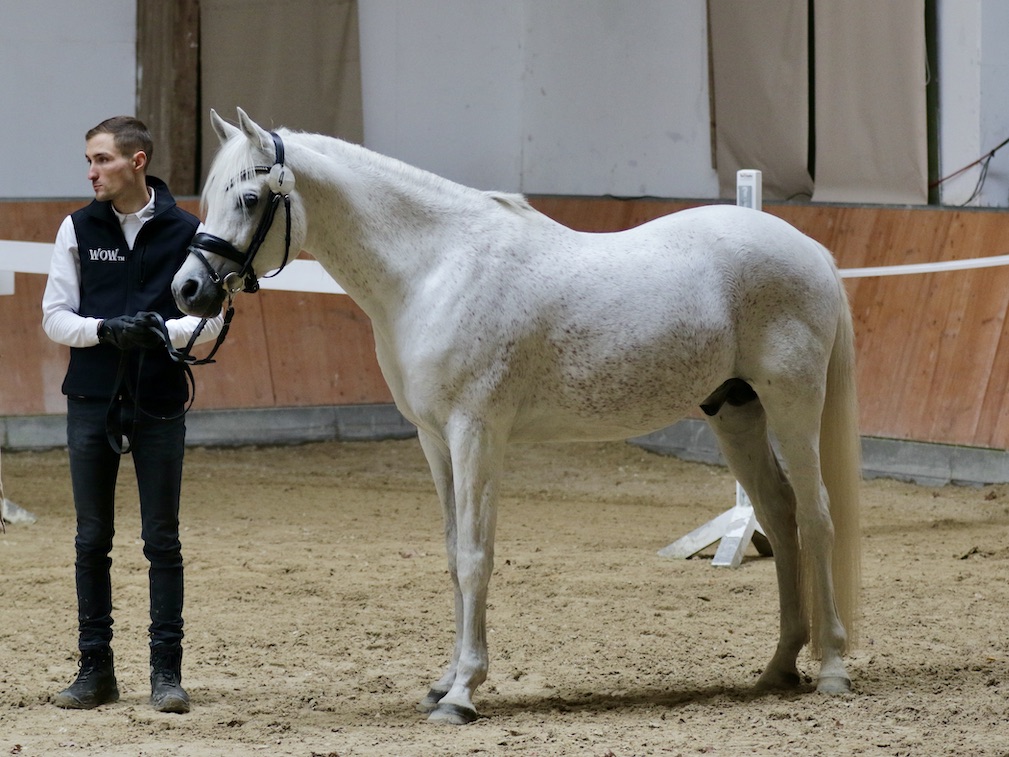 Moushah25.10.25_1U8A8533 Kopie