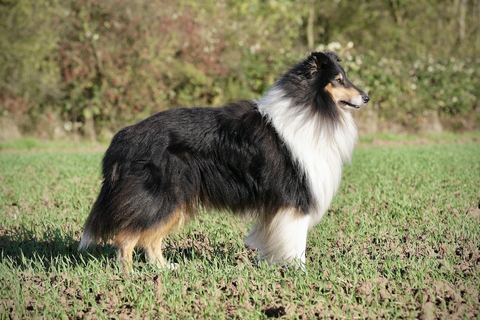 Ray30.10.25_1U8A8727 Kopie