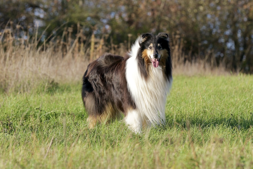 Wolle30.10.25_1U8A8775 Kopie