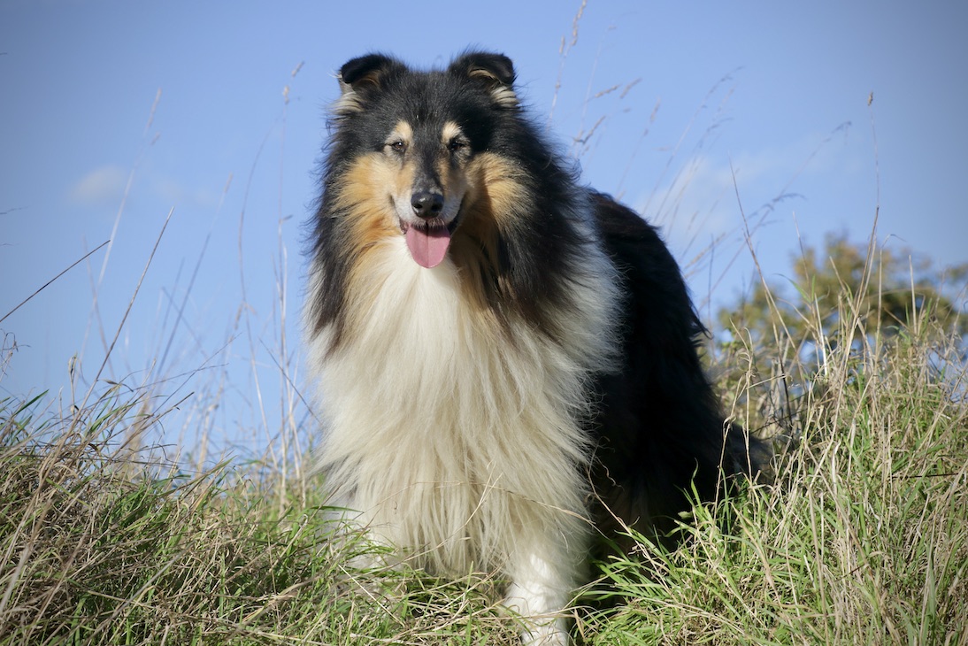 Wolle3010.25_1U8A8743 Kopie