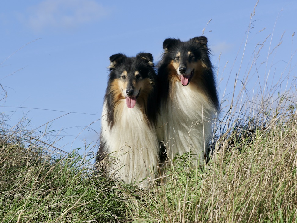 WolleRay30.10.25_1U8A8735 Kopie_1