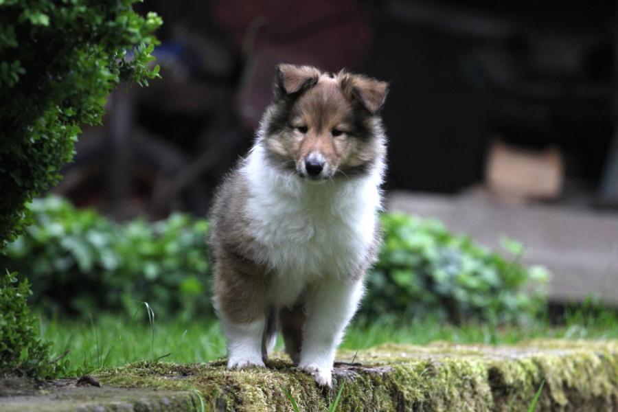 k800_buck10.5.14_15940