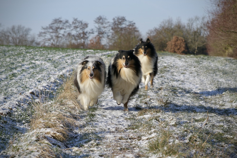 Jungs11.1.26_1U8A9047 Kopie