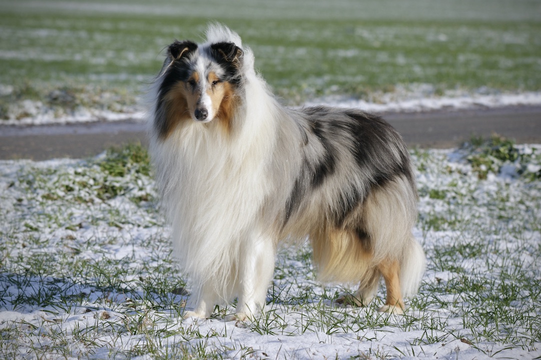 Mick11.1.26_1U8A9124 Kopie