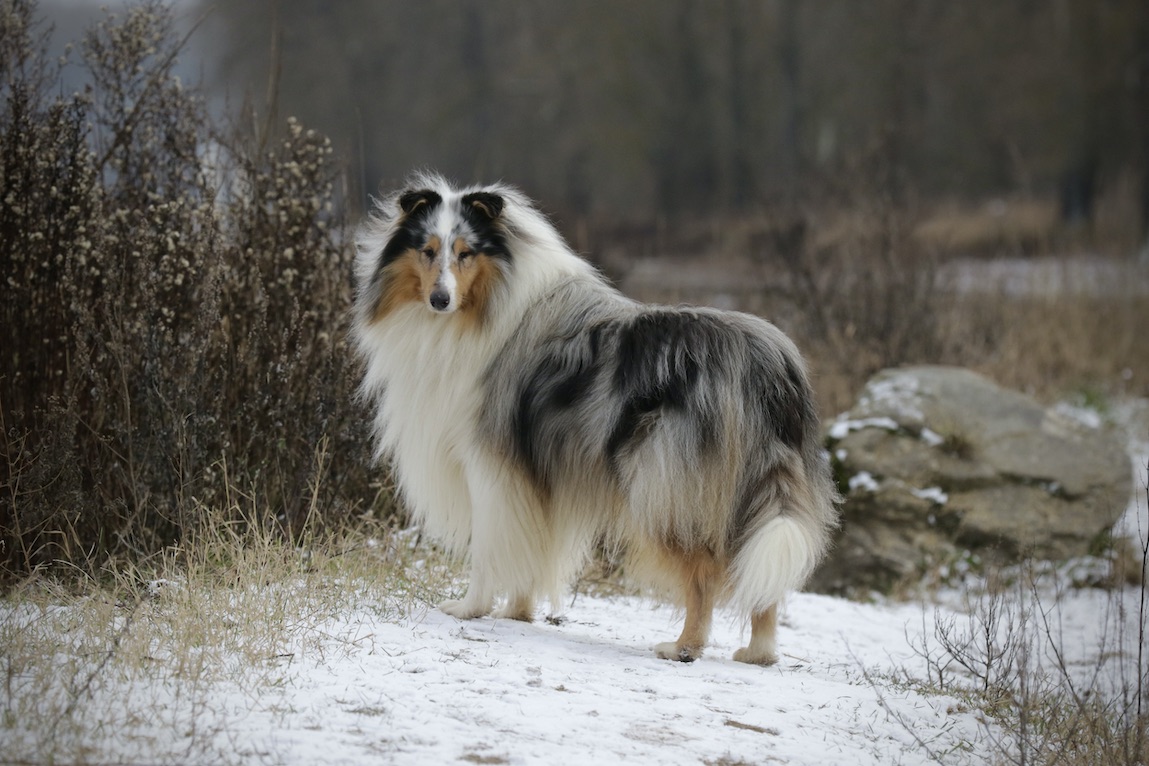 Mick11.1.26_1U8A9380 Kopie