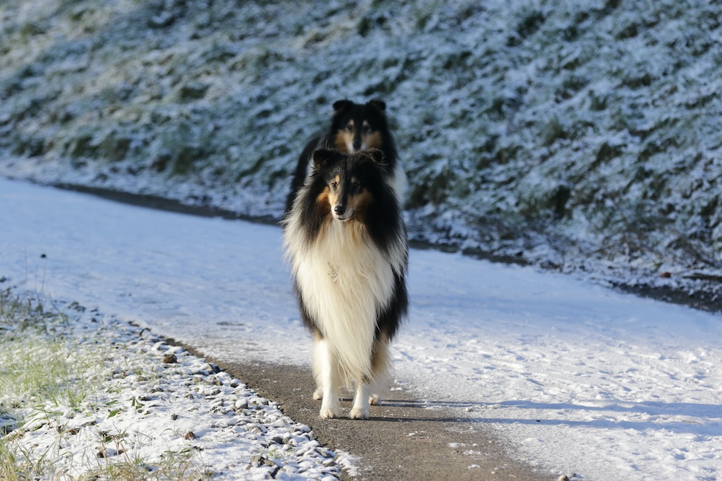 RayWolle11.1.26_1U8A9030 Kopie